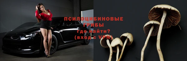 круглые Абаза