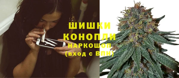 винт Сосновый Бор