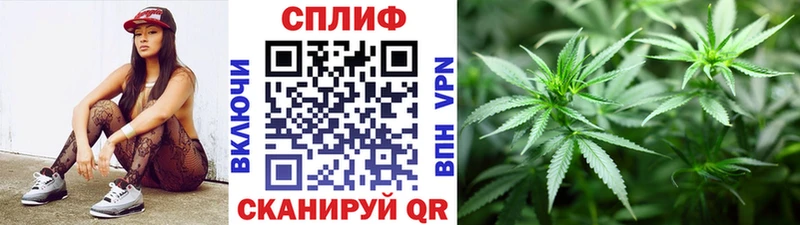 Шишки марихуана марихуана Ак-Довурак